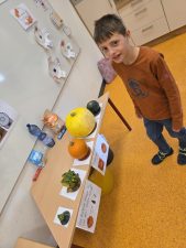 Projekttage Primarstufe